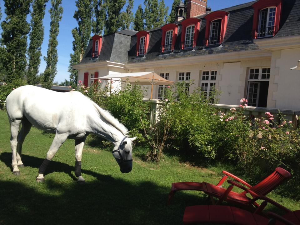 Hotel Le Domaine De Barbizon Saint-Martin-en-Bière Zewnętrze zdjęcie